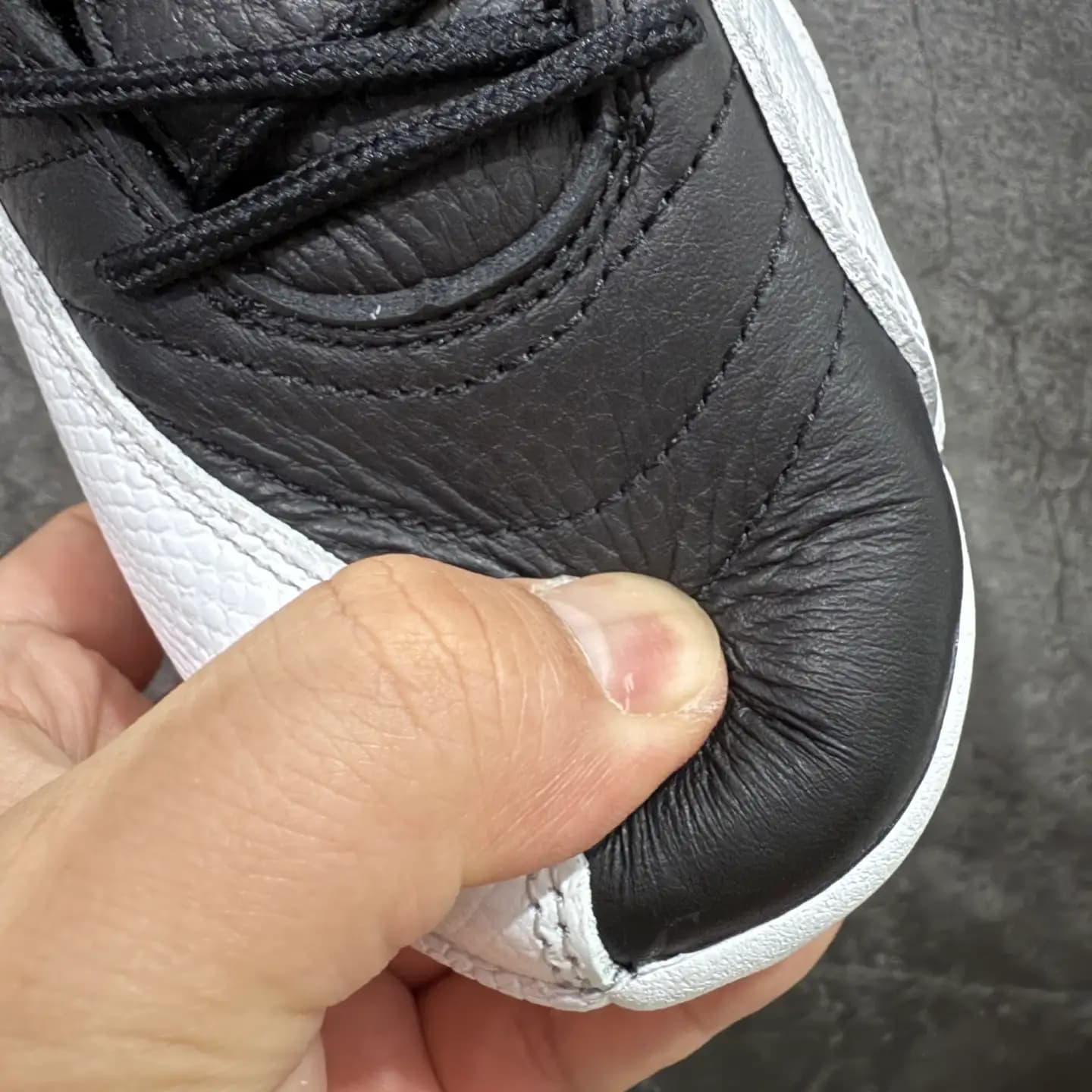 Air Jordan 12 - Image 5