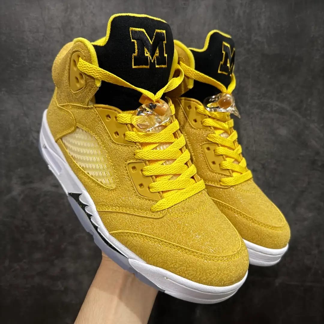 Air Jordan 5