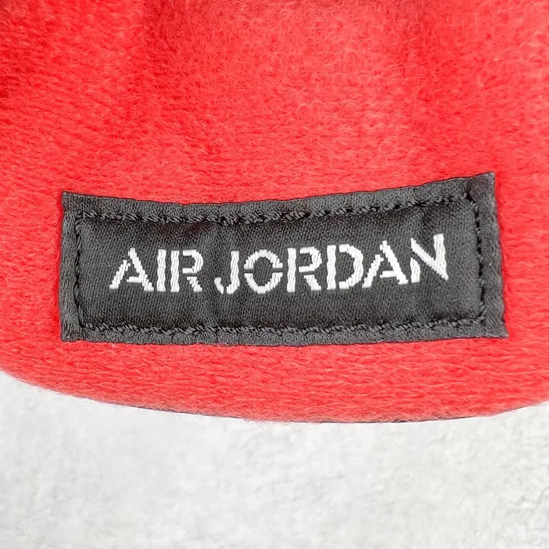 Air Jordan 4 - Image 8