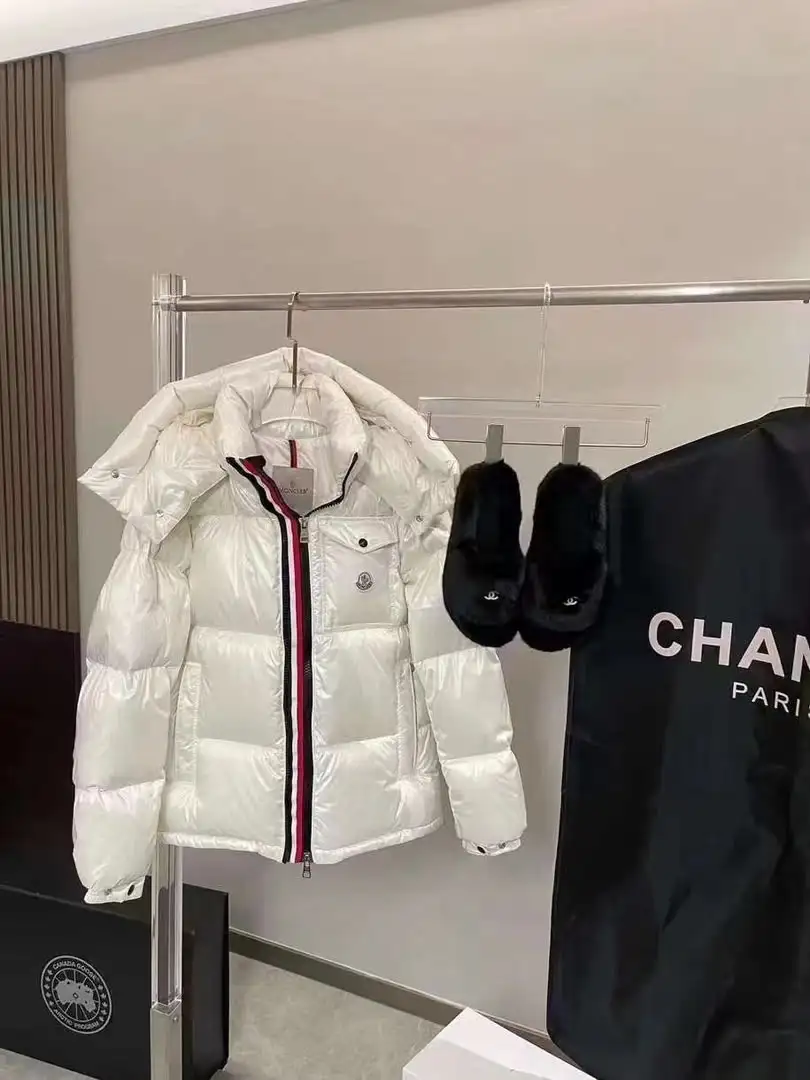Moncler Goose Down Jacket - Image 1
