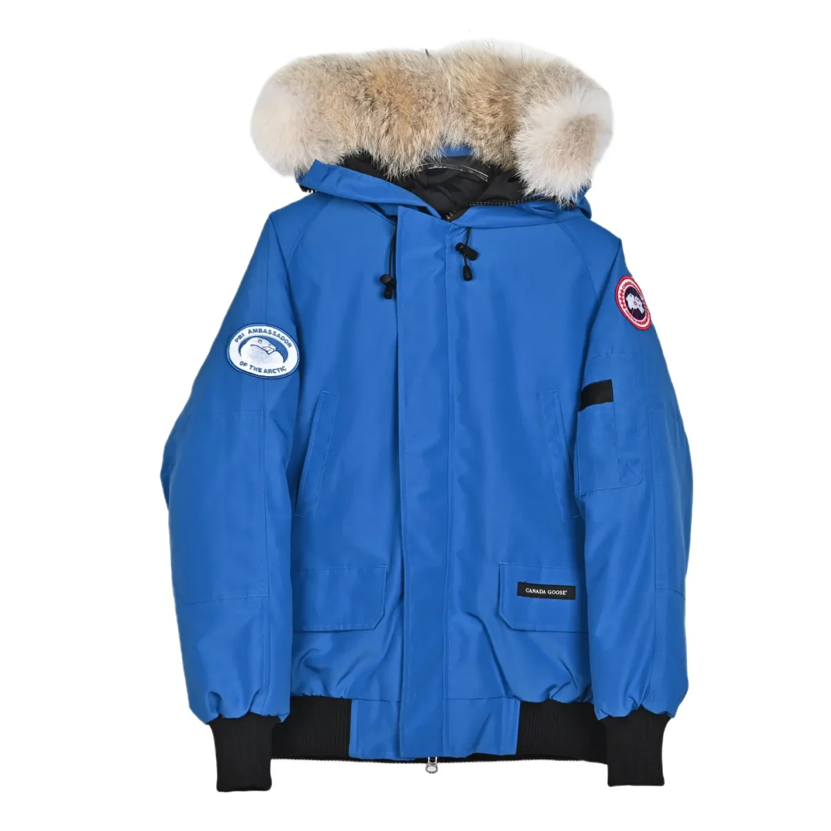 Canada Goose down jacket - Image 1