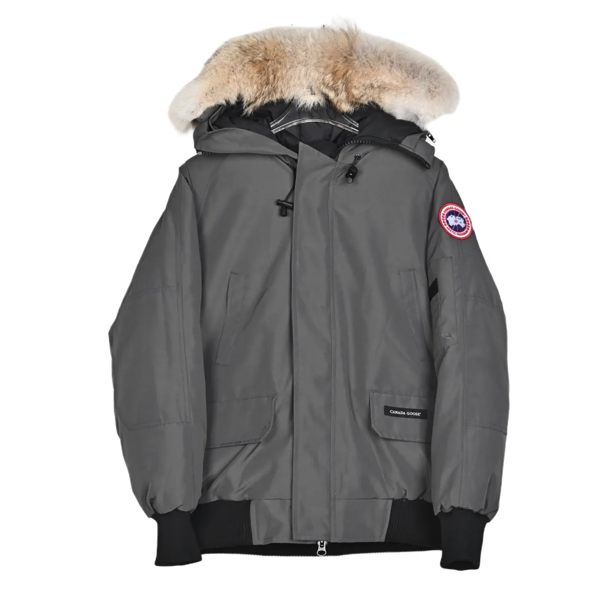 Canada Goose down jacket - Image 1