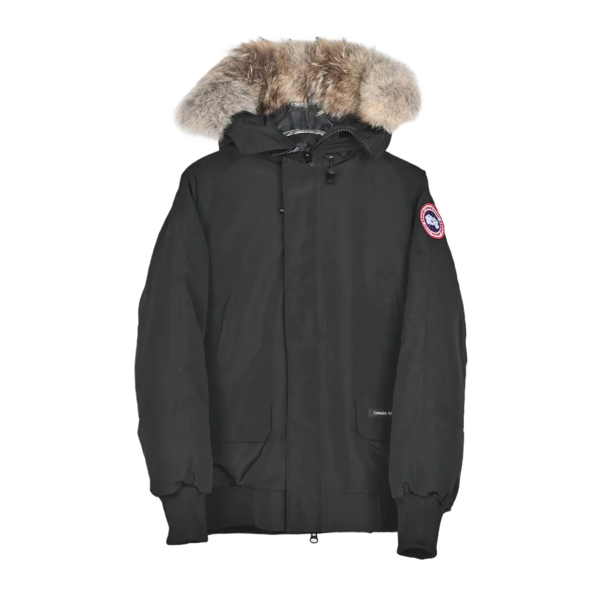Canada Goose down jacket - Image 1