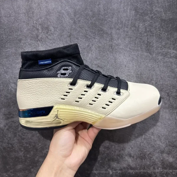 Infinite Archives x Air Jordan 17 Low Sneakers
